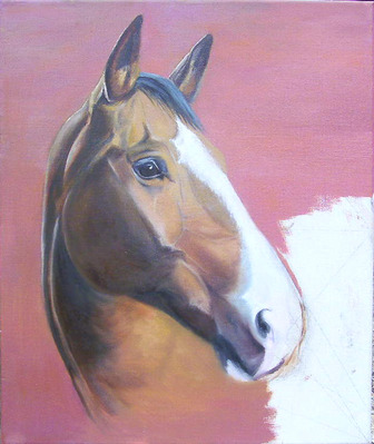 Peinture portrait cheval en cours